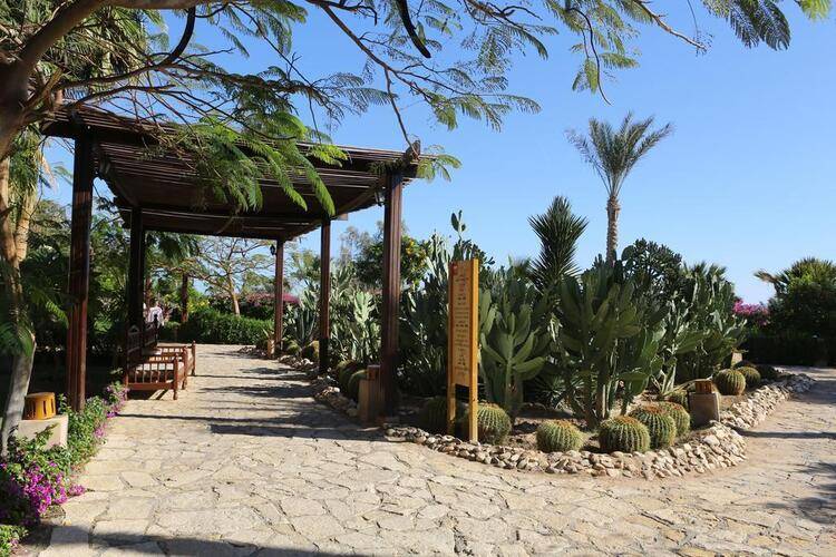 Tamra Beach Sharm