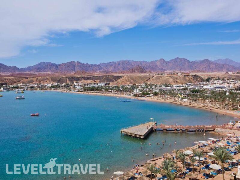 Фотография Albatros Sharm Resort - By Pickalbatros (Ex. Beach Albatros)