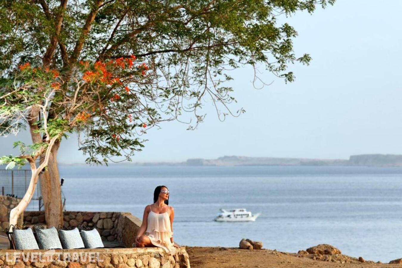 фотографии отеля Albatros Sharm Resort - By Pickalbatros (Ex. Beach Albatros) в Египет(Шарм-эль-Майя ) - фото №3