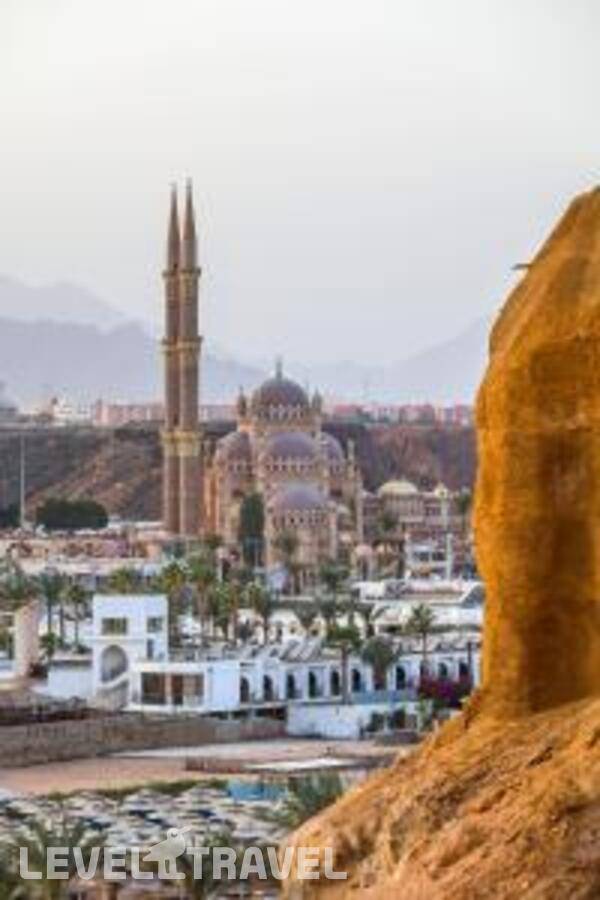 фотографии отеля Albatros Sharm Resort - By Pickalbatros (Ex. Beach Albatros) в Египет(Шарм-эль-Майя ) - фото №38