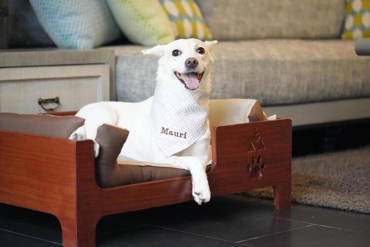 Anantara Phuket Villas