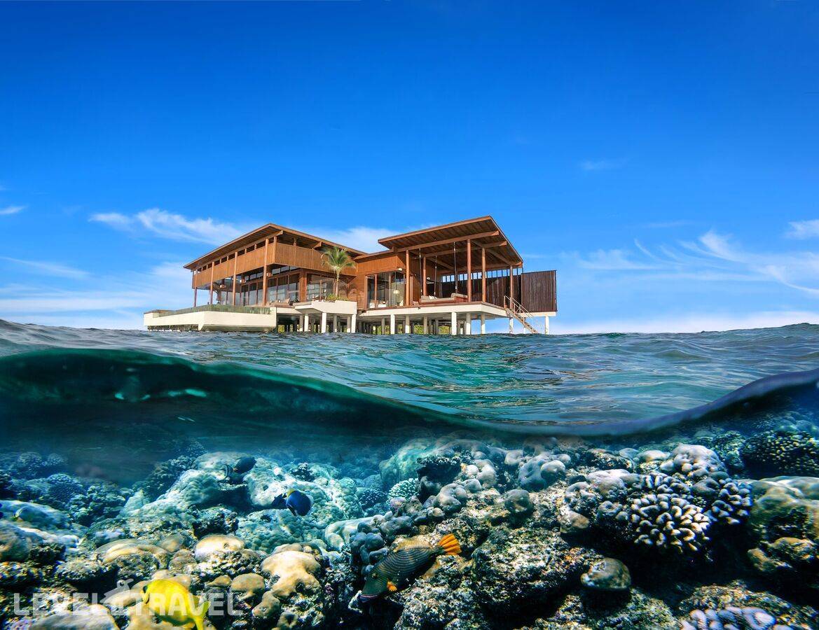 Park Hyatt Maldives Hadahaa — фото 9