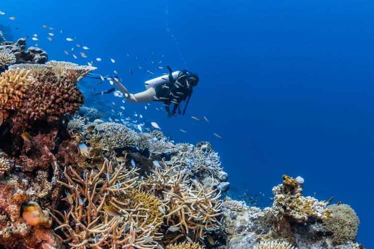 Park Hyatt Maldives Hadahaa