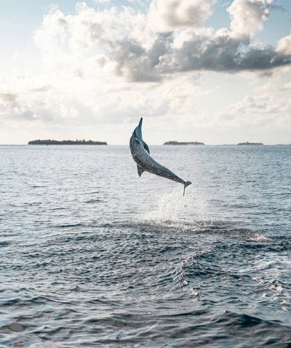 Park Hyatt Maldives Hadahaa