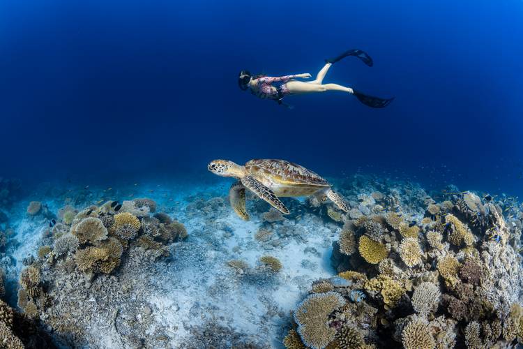 Park Hyatt Maldives Hadahaa