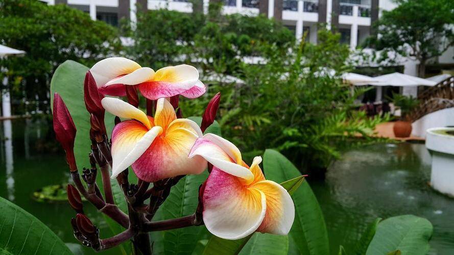 Lanka Princess Hotel (Adults Only 12+)