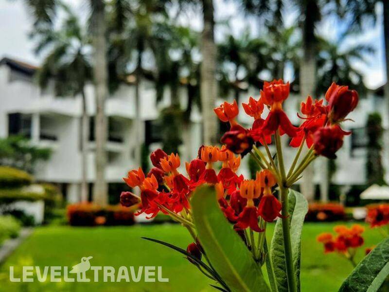 Фотография Lanka Princess Hotel (Adults Only 12+)