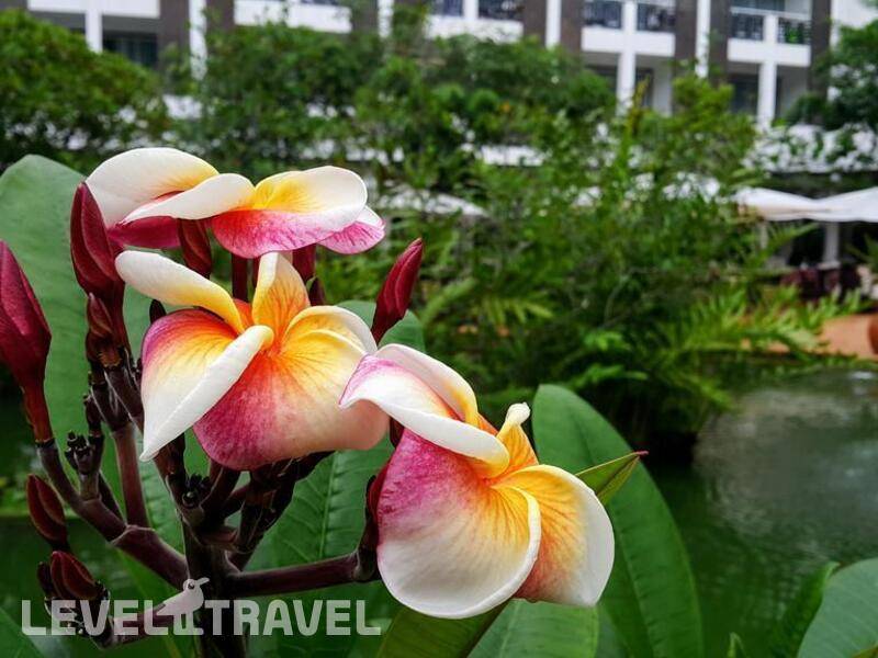 Фотография Lanka Princess Hotel (Adults Only 12+)