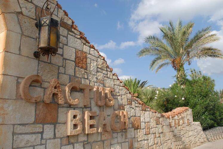 Cactus Beach