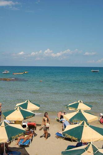 Cactus Beach