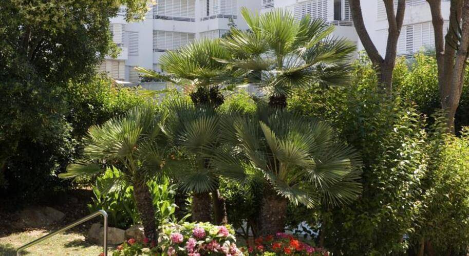 Surf Mar Hotel
