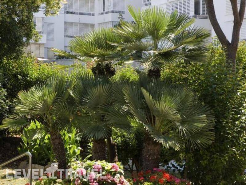 Фотография Surf Mar Hotel