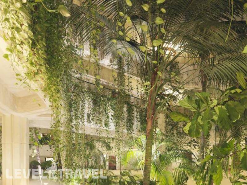 Фотография Gran Melia Salinas
