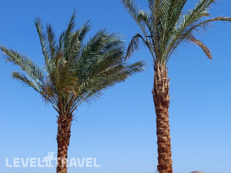 Фотография The Bay View Resort Taba Heights (Ex. Marriott Taba)