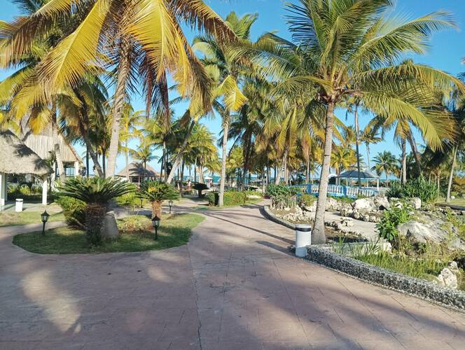Gran Caribe Camino Del Mar (Adults Only 18+) (Ex.Melia Cayo Guillermo)