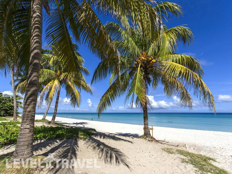 Фотография Melia Las Americas (Adults Only 18+)