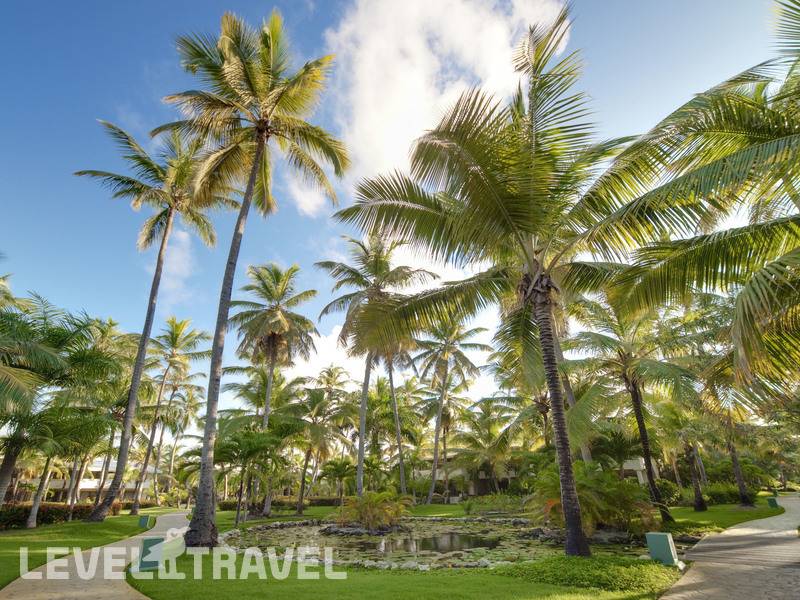 Фотография Melia Caribe Beach Resort (Ex. Melia Caribe Tropical)