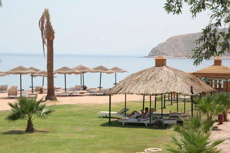 Sol Y Mar Sea Star Taba