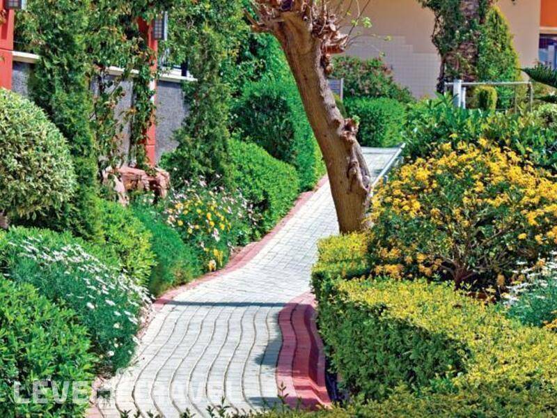 Фотография Alaiye Resort & Spa Hotel
