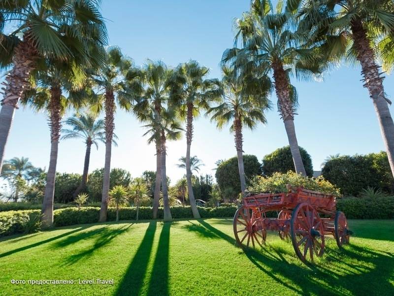Фотография Miracle Resort Hotel