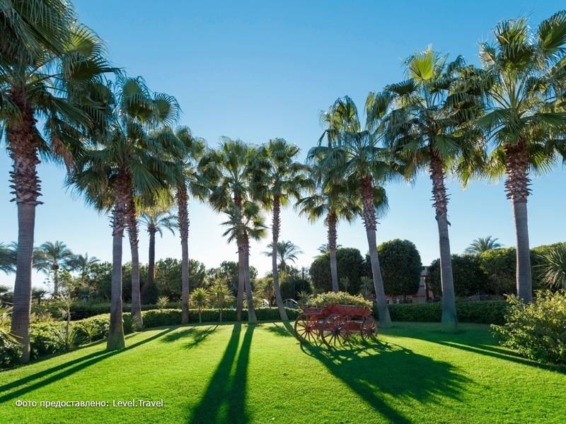 Фотография Miracle Resort Hotel