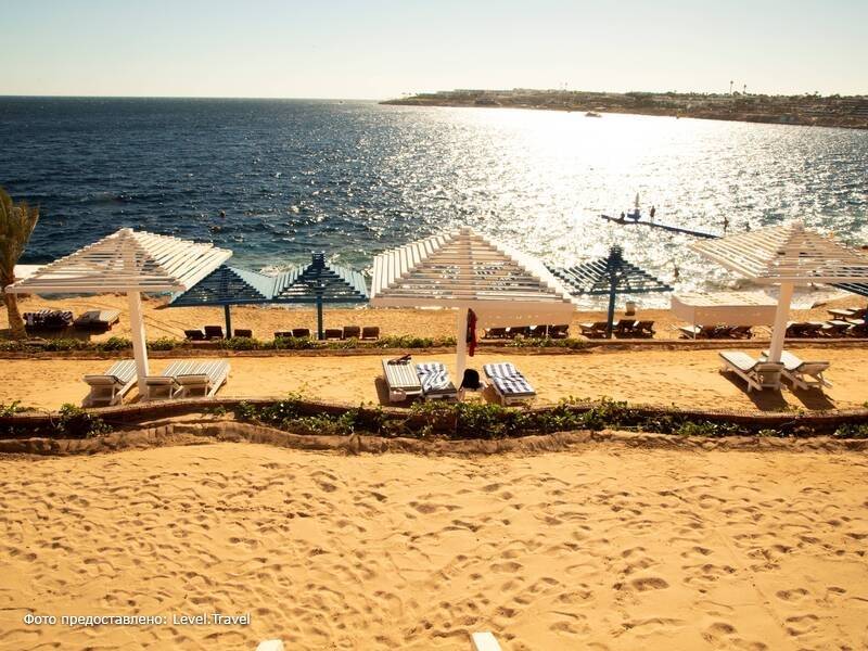 Фотография Grand Oasis Resort