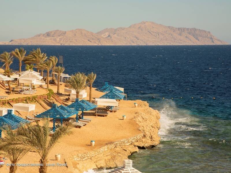 Фотография Grand Oasis Resort