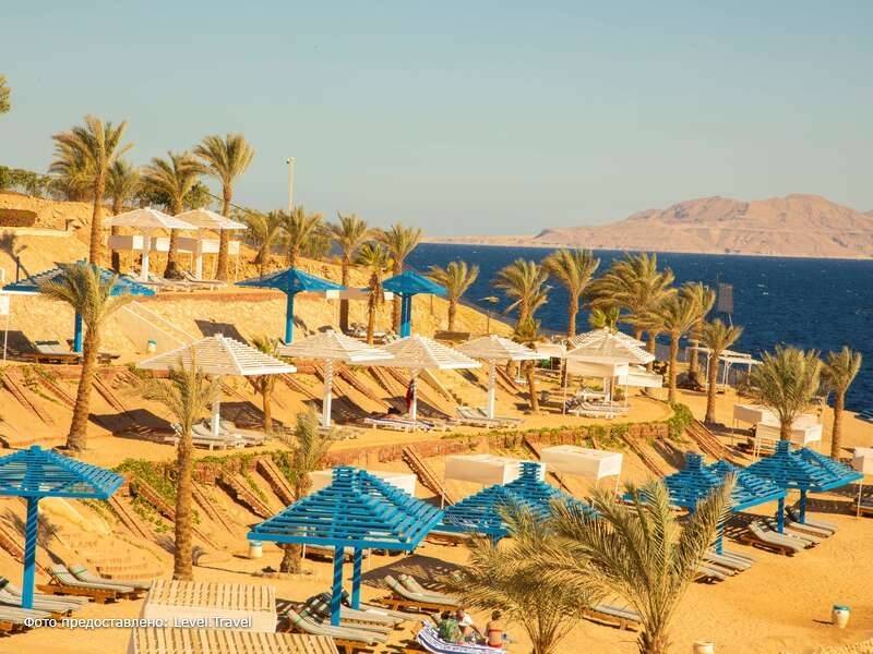Фотография Grand Oasis Resort