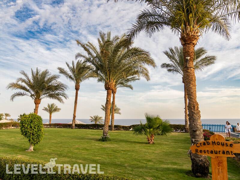 Фотография Grand Oasis Resort