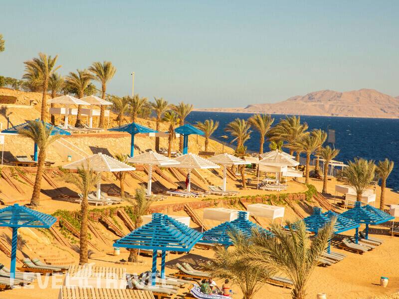 Фотография Grand Oasis Resort