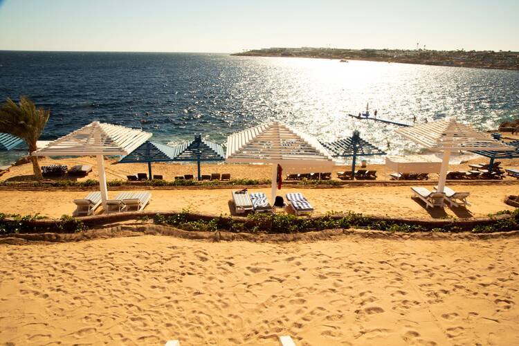 Grand Oasis Resort