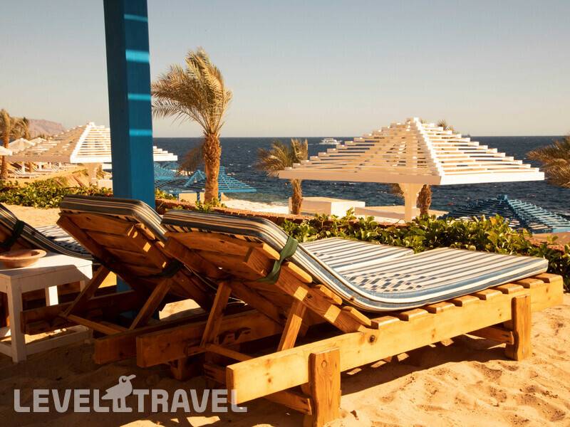 Фотография Grand Oasis Resort