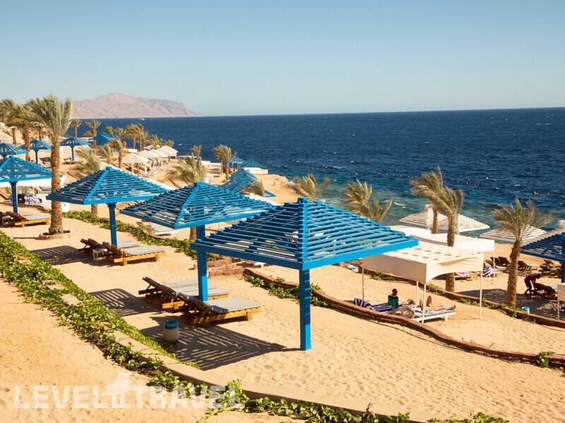 Фотография Grand Oasis Resort