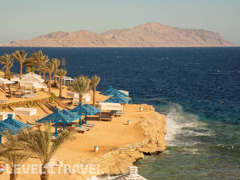 Фотография Grand Oasis Resort