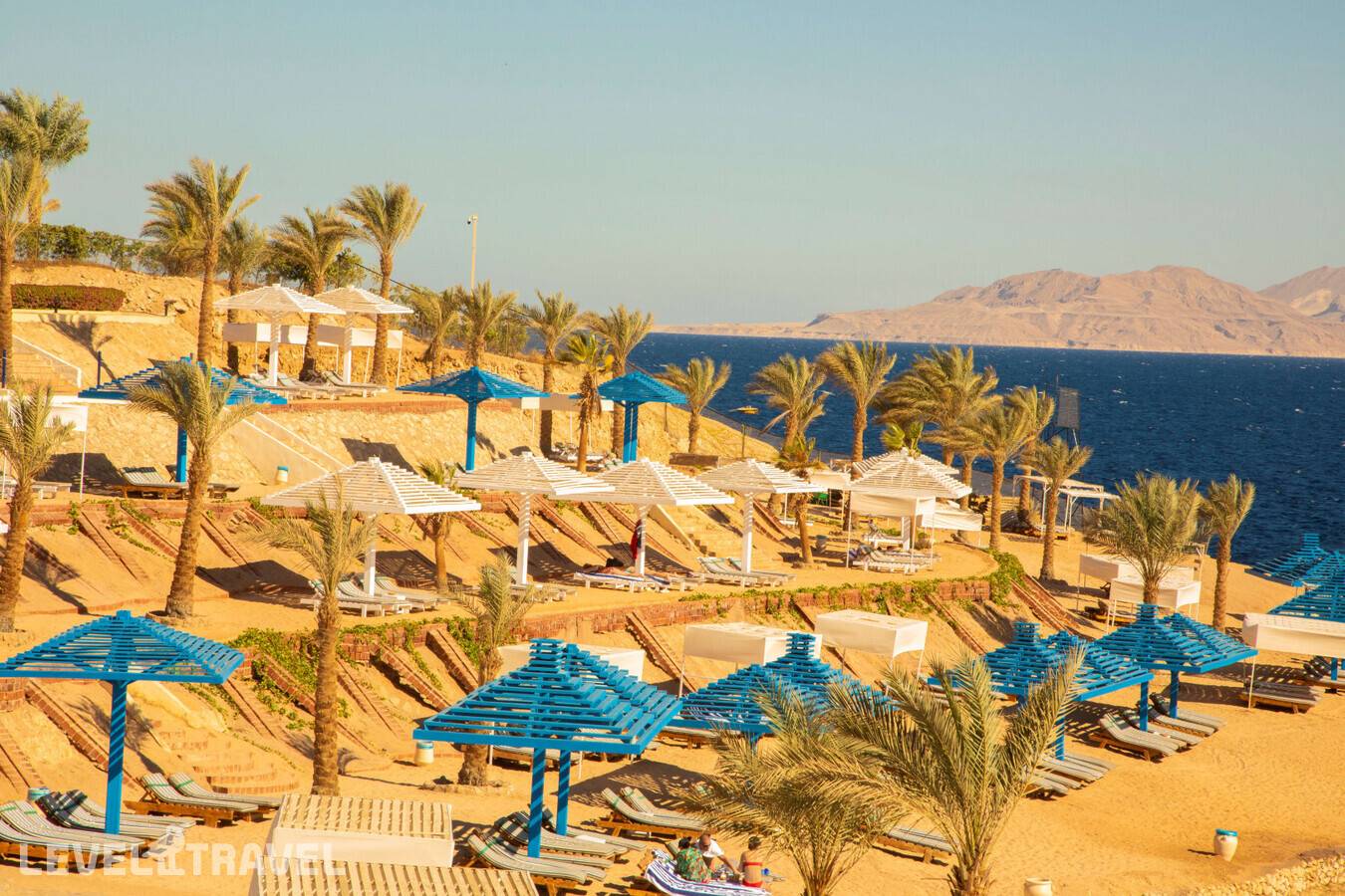 фотографии отеля Grand Oasis Resort в Египет(Шаркс Бэй) - фото №11