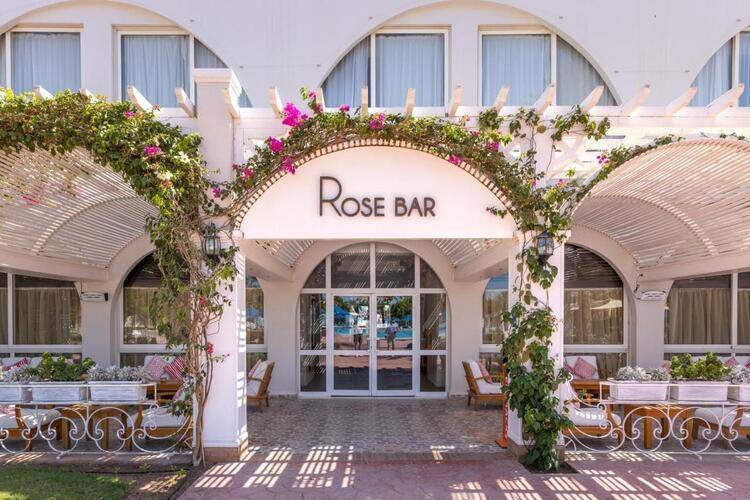 Desert Rose