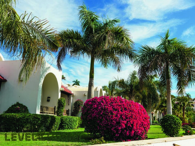 Фотография Movenpick Resort Sharm El Sheikh
