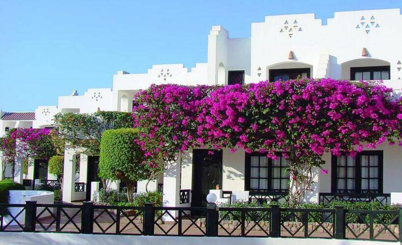 Verginia Sharm Resort & Aqua Park (Ex. Verginia Sharm)