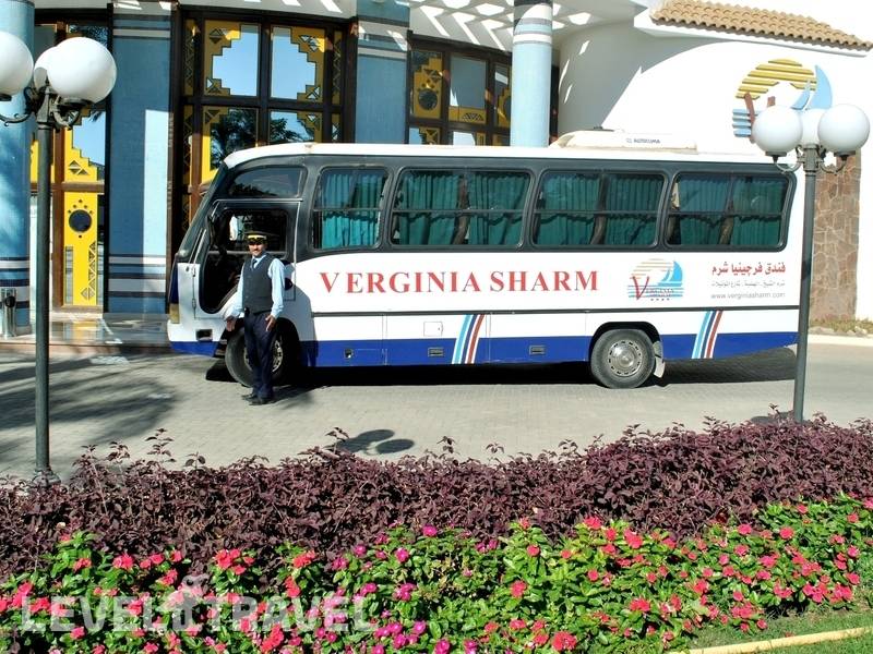 Фотография Verginia Sharm Resort & Aqua Park (Ex. Verginia Sharm) Фотография Verginia Sharm Resort & Aqua Park (Ex. Verginia Sharm)