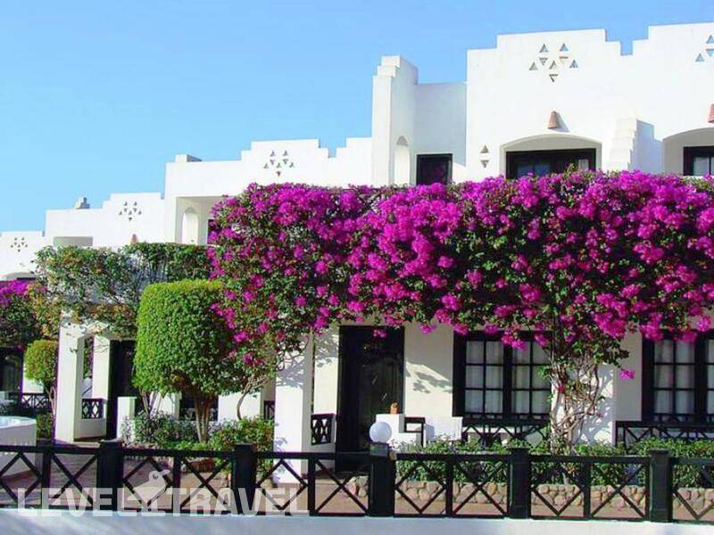 Фотография Verginia Sharm Resort & Aqua Park (Ex. Verginia Sharm) Фотография Verginia Sharm Resort & Aqua Park (Ex. Verginia Sharm)
