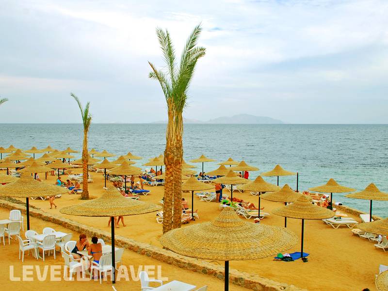 Фотография Verginia Sharm Resort & Aqua Park (Ex. Verginia Sharm) Фотография Verginia Sharm Resort & Aqua Park (Ex. Verginia Sharm)