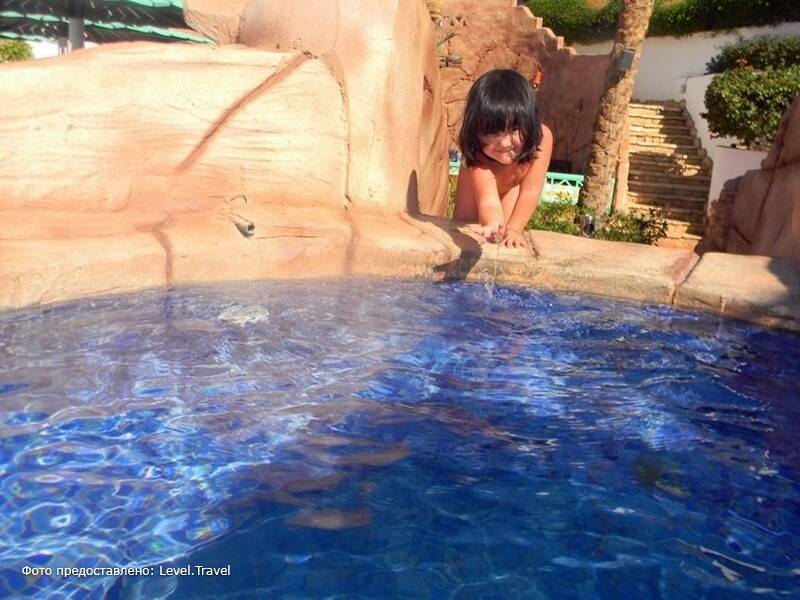 Фотография Verginia Sharm Resort & Aqua Park (Ex. Verginia Sharm)