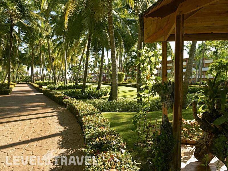Фотография Iberostar Punta Cana