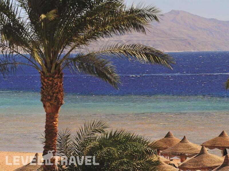 Фотография Baron Palms Sharm El Sheikh (Adults Only 16+)