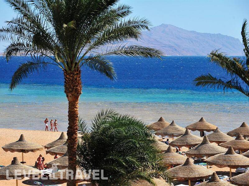 Фотография Baron Palms Sharm El Sheikh (Adults Only 16+)