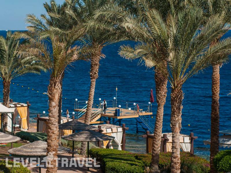 Фотография Grand Rotana Resort & Spa