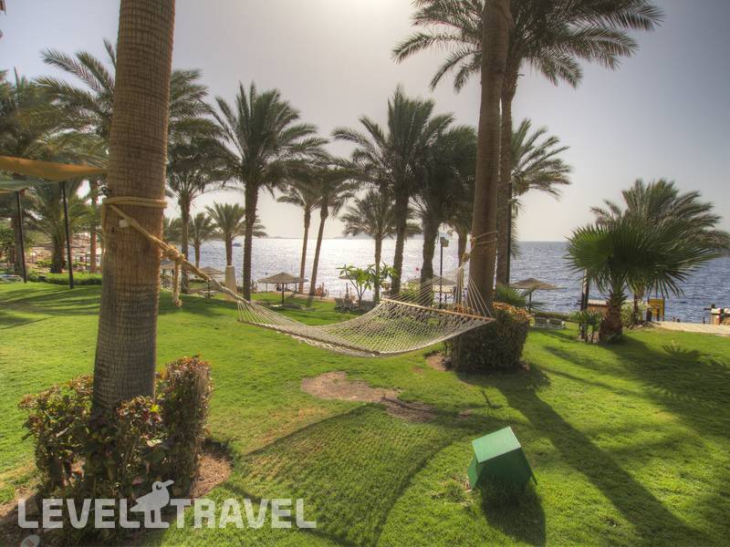 Фотография Grand Rotana Resort & Spa