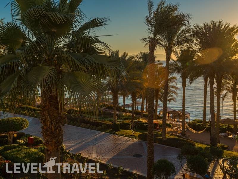 Фотография Grand Rotana Resort & Spa
