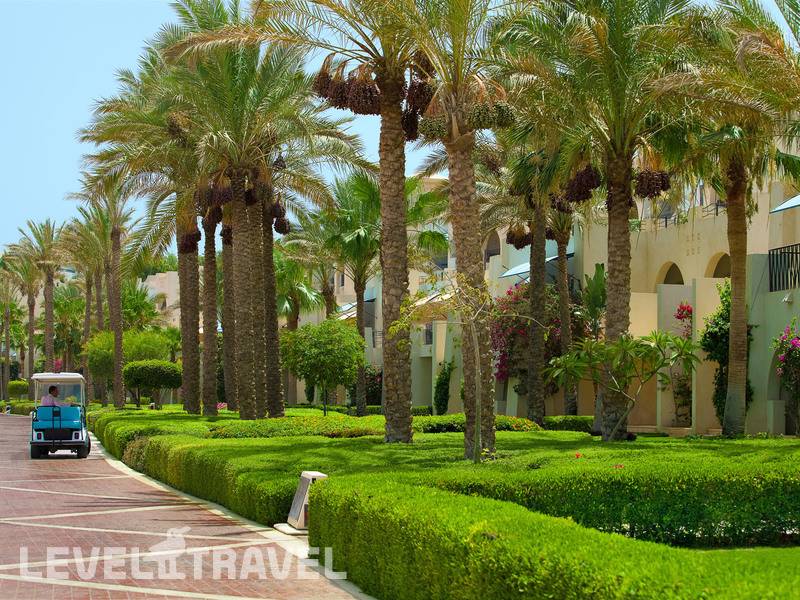 Фотография Grand Rotana Resort & Spa