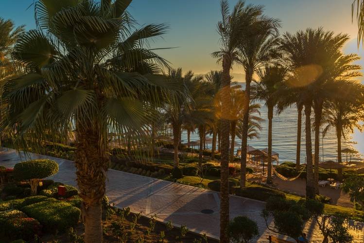 Grand Rotana Resort & Spa